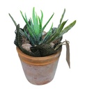 Planta Artificial Bonsai 10X15C Decore