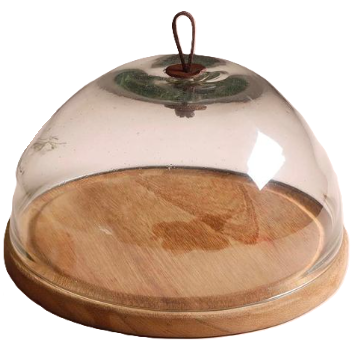 Porta Torta CTG Cravings Con Campana Y Base De Madera Transparente Y Marron