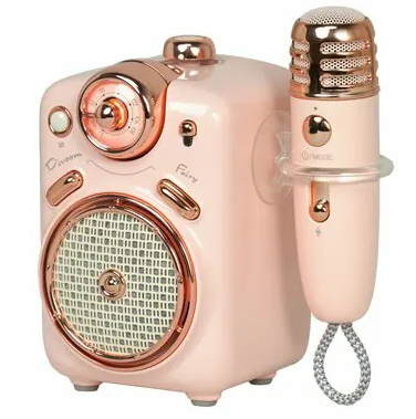 Corneta Divoom Fairy 2 Portatil Recargable Con Bluetooth Radio Fm Microfono Y Estuche Rosado
