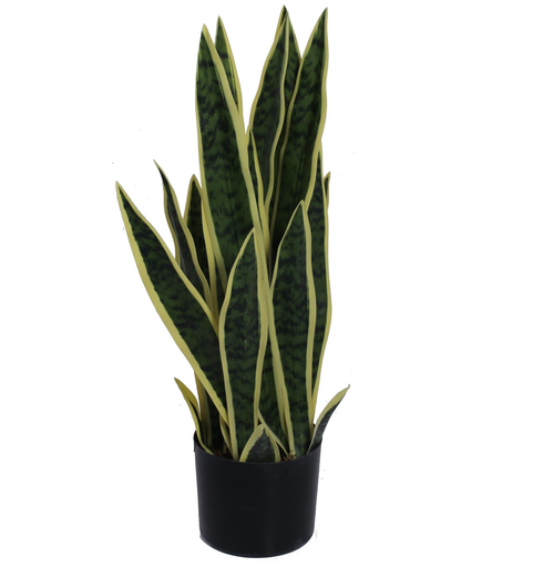 Planta Artificial Concepts Con Macetero 60X36X60 Cm